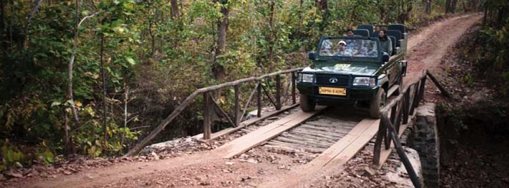 717/Taj Pashan Garh Panna National Park - Panna 17.jpg